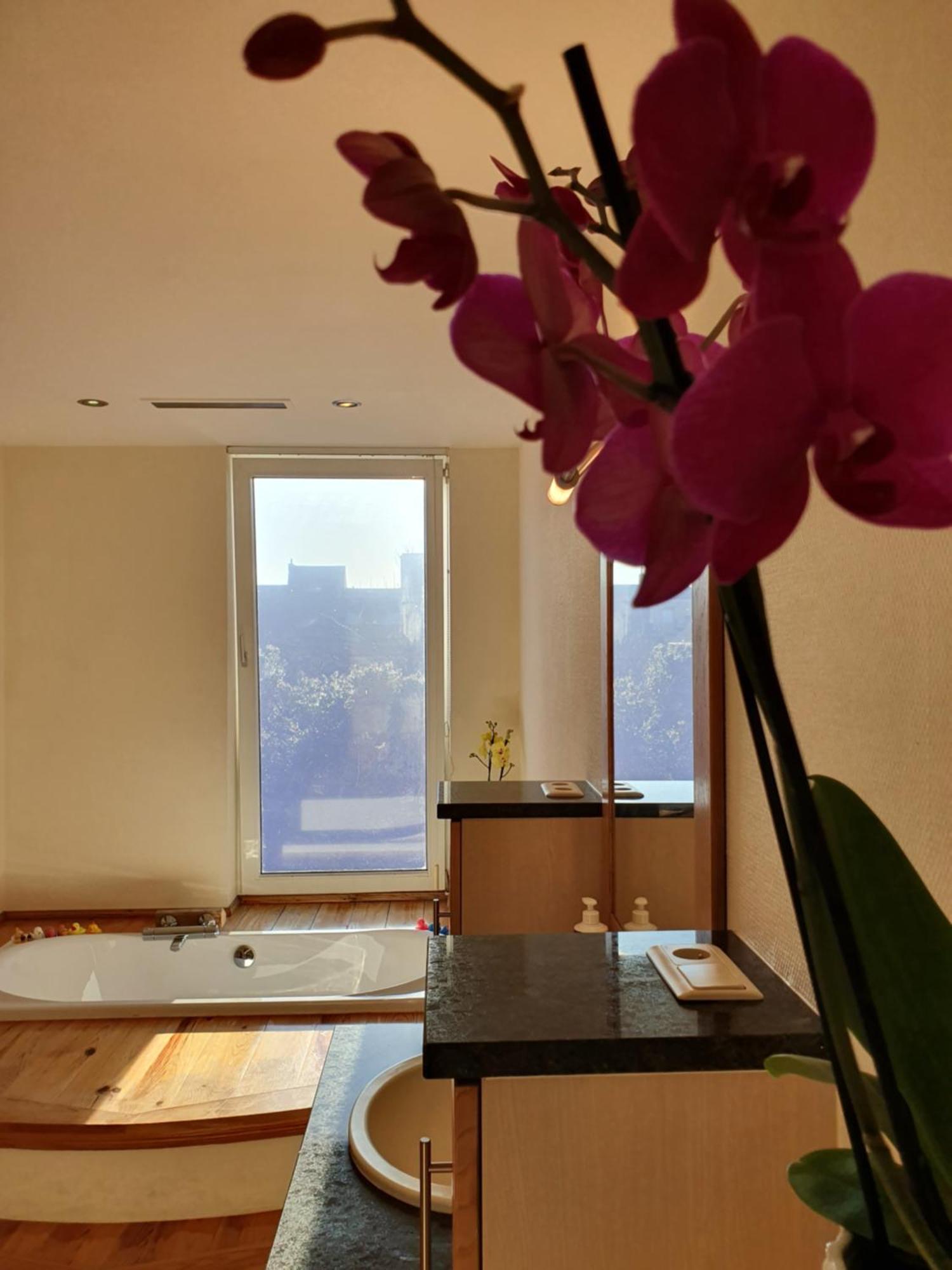 Vila Huize La Passion Vacationhouse 10 Min Walk From The Sea Middelkerke Exteriér fotografie